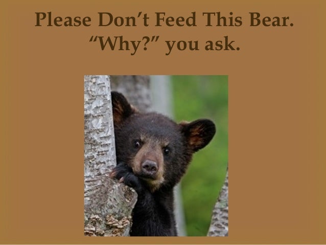 how to embed facebook feed on website