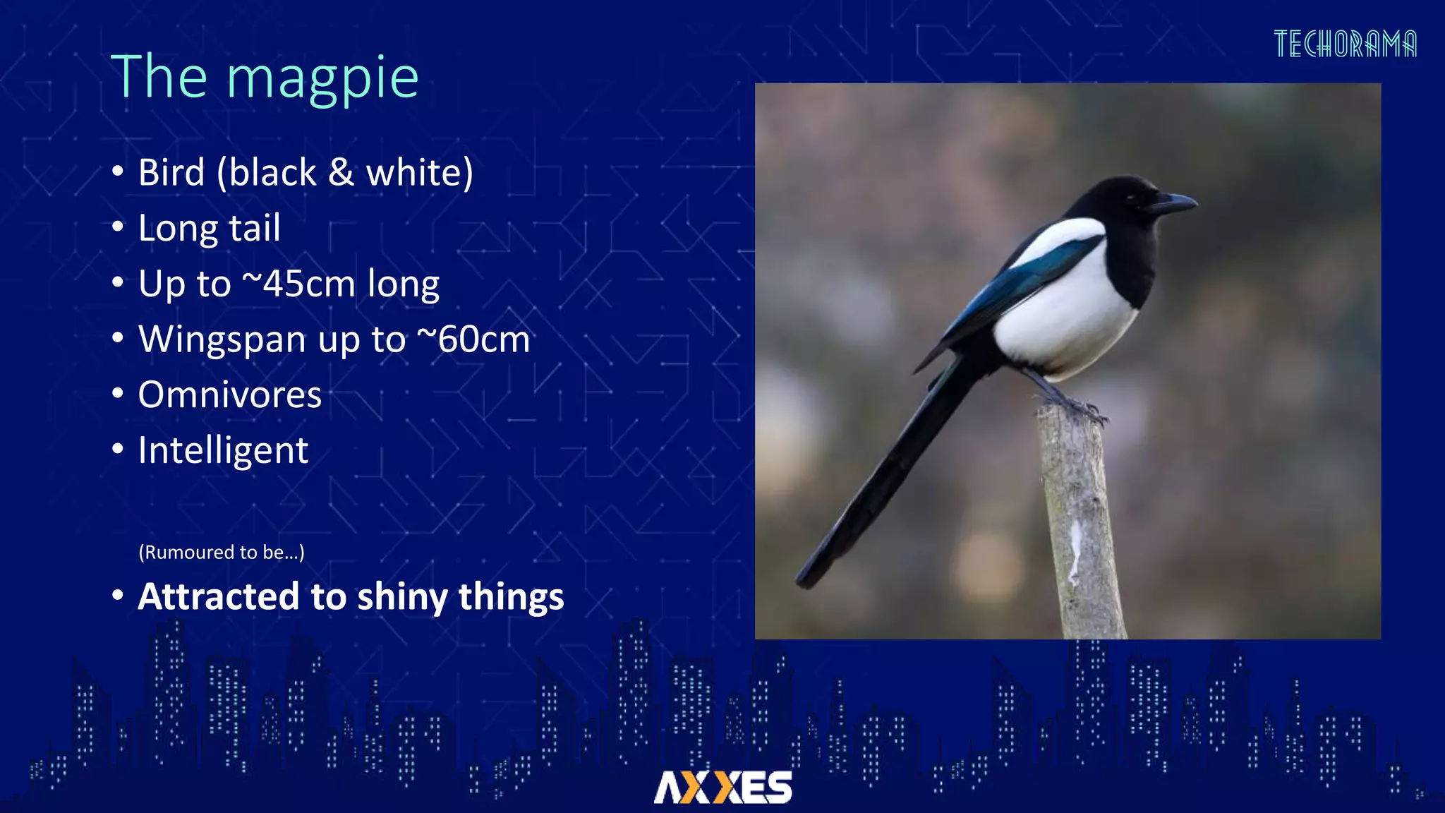 The magpie
• Bird (black & white)
• Long tail
• Up to ~45cm long
• Wingspan up to ~60cm
• Omnivores
• Intelligent
(Rumoured to be…)
• Attracted to shiny things
 