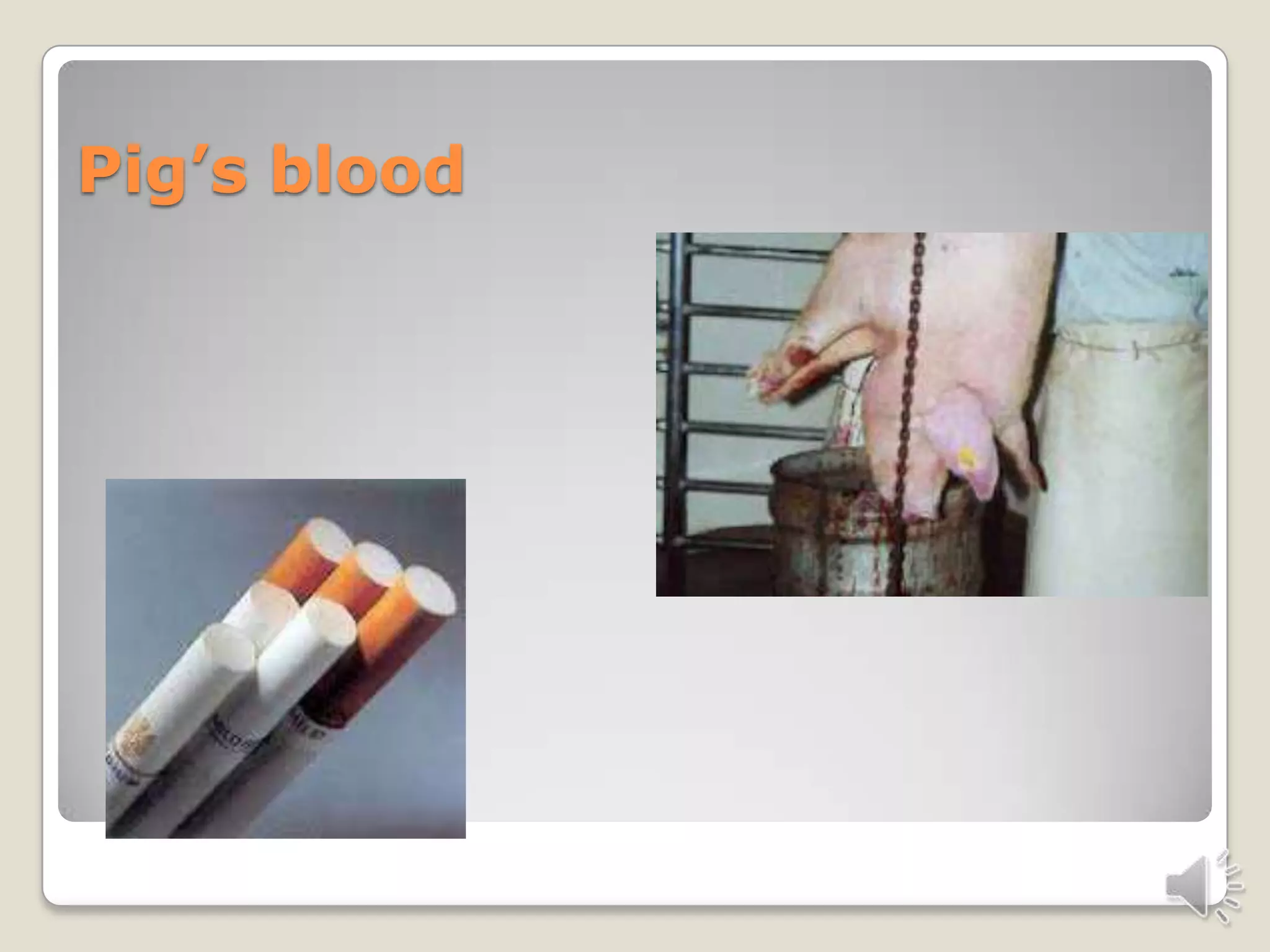 Don’t hurt animals | PPTX