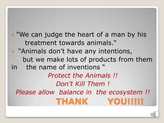 Don’t hurt animals | PPTX