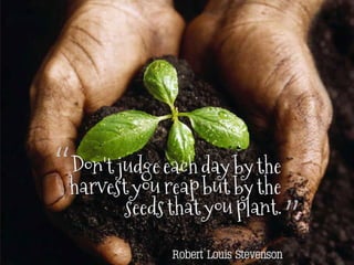 "Don't judge each day by the harvest you reap but by the seeds that you plant." ~ Robert Louis Stevenson