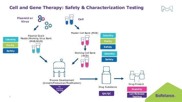 Process Impurities Don T Let Pei Or Hcp Derail Your Biotherapy