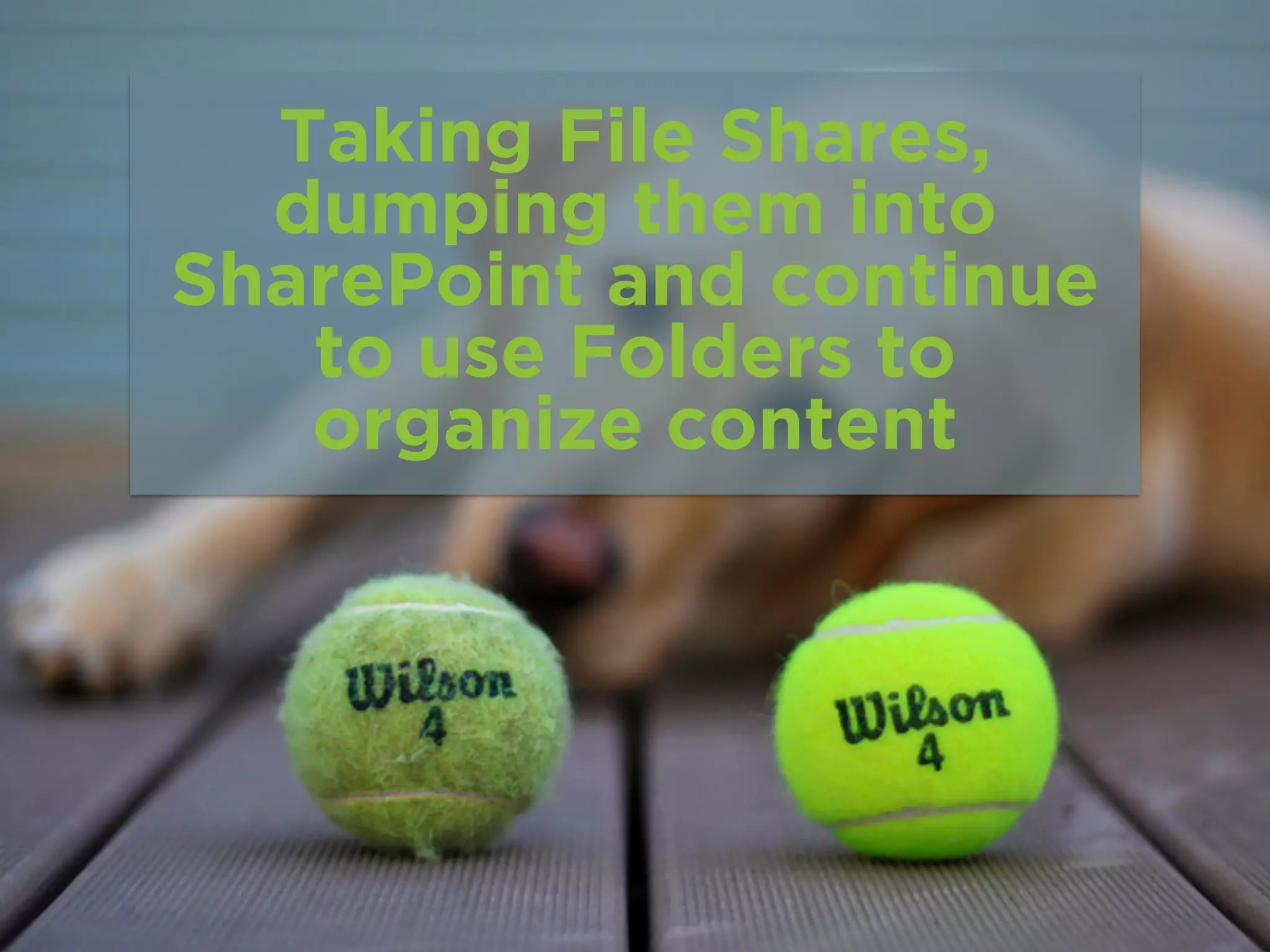 Taking File Shares,
dumping them into
SharePoint and continue
to use Folders to
organize content
 