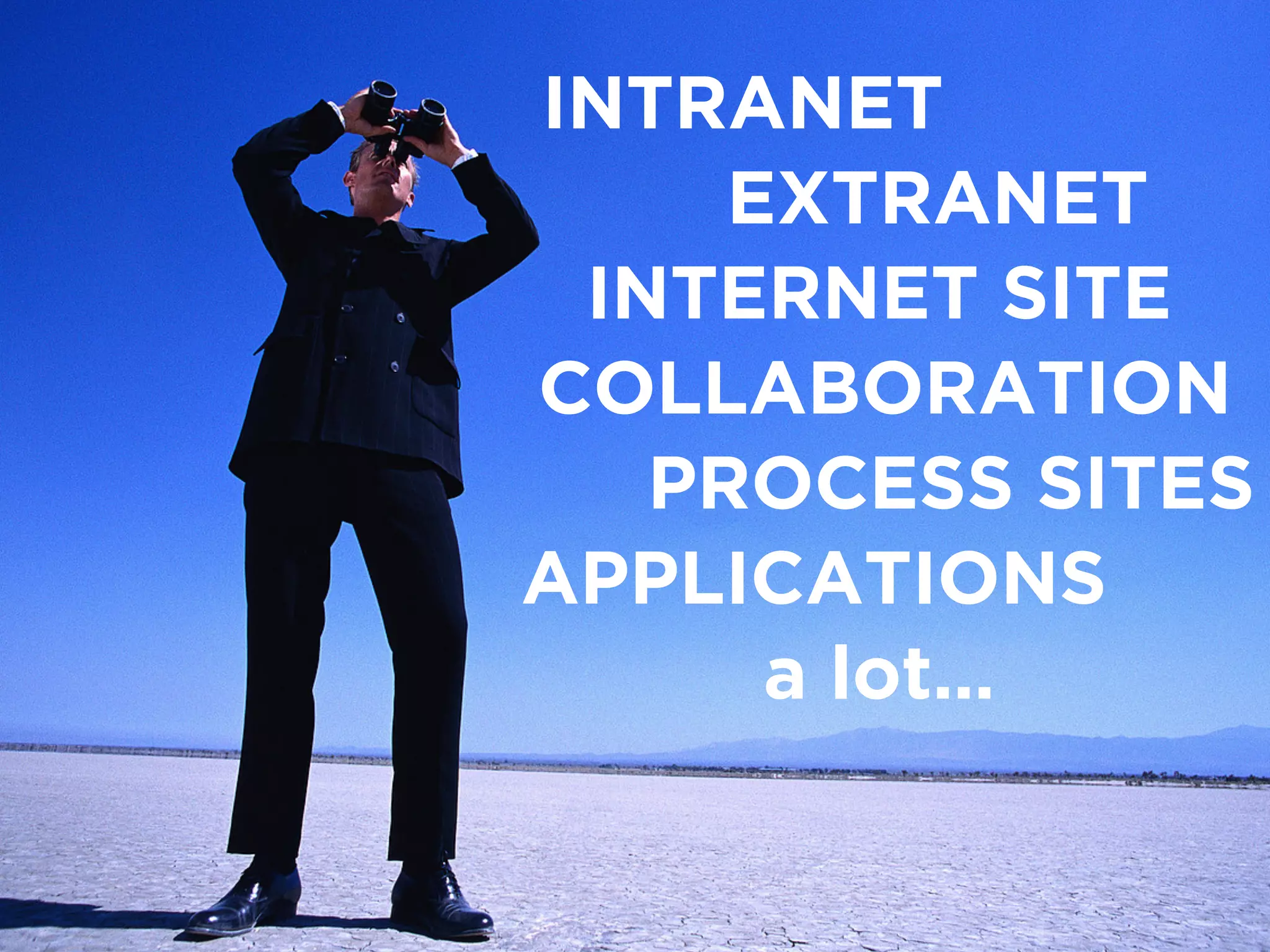 INTRANET
EXTRANET
INTERNET SITE
COLLABORATION
PROCESS SITES
APPLICATIONS
a lot…
 