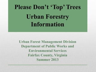 Urban Forestry
Information
Urban Forest Management Division
Department of Public Works and
Environmental Services
Fairfax County, Virginia
Summer 2013
Please Don’t ‘Top’ Trees
 