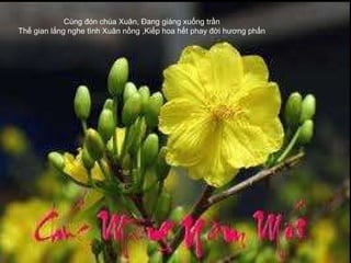 Cùng đón chúa Xuân, Đang giáng xuống trần  Thế gian lắng nghe tình Xuân nồng ,Kiếp hoa hết phay đời hương phấn  