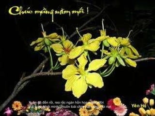 Xuân đã đến rồi, reo rắc ngàn hồn hoa xuống đời Vui trong bình minh, ,muôn loài chim hát vang mọi nơi  