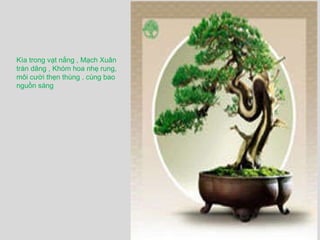 Kìa trong vạt nắng , Mạch Xuân tràn dâng , Khóm hoa nhẹ rung,  môi cười thẹn thùng , cùng bao nguồn sáng  