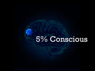 5% Conscious

 