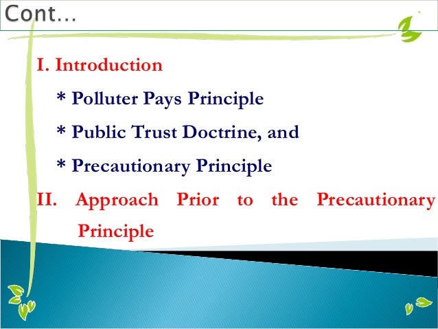 precautionary principle precautionary principle