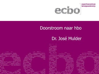 Doorstroom naar hbo
Dr. José Mulder
 