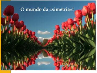 O mundo da «simetria»!
 