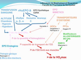 ALTITUDE
Chambres
- Hypoxie
- Hypobare
TRANSFUSION
SANGUINE
rHuEPO & EPO
MIMETICS
TRANSPORTEURS
D’OXYGENE
Modificateurs
ALLOSTERIQUES
DE l’Hb
rHuEpo Humaine Aranesp
, ,  
HOCs
Oxyglobine 
Hemopure 
 du nb.total GRs
 de la quantité d’hémoglobine
 capacité de transport de l’O2
 de la VO2max
 de l’O2 livré aux muscles
Thérapie génique
Repoxygen 
& Micro-bio-réacteurs
EPO Endogène
PFCs
Oxygent 
RSR13
Efaproxiral 
EPO Synthétique
CERA
Hematide 
Pr Michel AUDRAN
Laboratoire de Biophysique et Bioanalyse
Faculté de Pharmacie de Montpellier
 