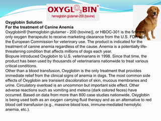 Oxyglobin Solution
For the treatment of Canine Anemia
Oxyglobin® [hemoglobin glutamer - 200 (bovine)], or HBOC-301 is the first and
only oxygen therapeutic to receive marketing clearance from the U.S. FDA and
the European Commission for veterinary use. The product is indicated for the
treatment of canine anemia regardless of the cause. Anemia is a potentially life-
threatening condition that affects millions of dogs each year.
Biopure introduced Oxyglobin to U.S. veterinarians in 1998. Since that time, the
product has been used by thousands of veterinarians nationwide to treat various
critical conditions.
Other than a blood transfusion, Oxyglobin is the only treatment that provides
immediate relief from the clinical signs of anemia in dogs. The most common side
effects of Oxyglobin are transient discoloration of skin, mucous membranes and
urine. Circulatory overload is an uncommon but important side effect. Other
adverse reactions such as vomiting and melena (dark colored feces) have
occurred. Based on data from more than 800 case studies nationwide, Oxyglobin
is being used both as an oxygen carrying fluid therapy and as an alternative to red
blood cell transfusion (e.g., massive blood loss, immune-mediated hemolytic
anemia, etc.).
 