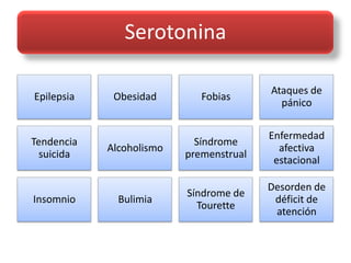 Serotonina

                                         Ataques de
Epilepsia    Obesidad        Fobias
                                           pánico

                                         Enfermedad
Tendencia                   Síndrome
            Alcoholismo                    afectiva
  suicida                 premenstrual
                                          estacional

                                         Desorden de
                          Síndrome de
Insomnio      Bulimia                     déficit de
                            Tourette
                                          atención
 