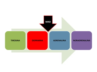 MAO




TIROSINA   DOPAMINA         ADRENALINA   NORADRENALINA
 