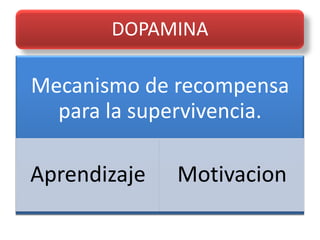 DOPAMINA

Mecanismo de recompensa
  para la supervivencia.

Aprendizaje   Motivacion
 