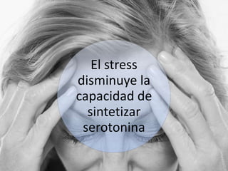 El stress
disminuye la
capacidad de
  sintetizar
 serotonina
 