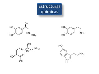 Estructuras
 químicas
 