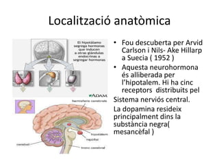 Localització anatòmica
• Fou descuberta per Arvid
Carlson i Nils- Ake Hillarp
a Suecia ( 1952 )
• Aquesta neurohormona
és alliberada per
l’hipotalem. Hi ha cinc
receptors distribuits pel
Sistema nerviós central.
La dopamina resideix
principalment dins la
substància negra(
mesancèfal )
 