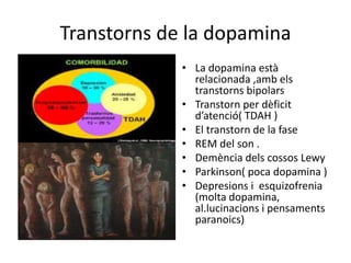 Transtorns de la dopamina
• La dopamina està
relacionada ,amb els
transtorns bipolars
• Transtorn per dèficit
d’atenció( TDAH )
• El transtorn de la fase
• REM del son .
• Demència dels cossos Lewy
• Parkinson( poca dopamina )
• Depresions i esquizofrenia
(molta dopamina,
al.lucinacions i pensaments
paranoics)
 