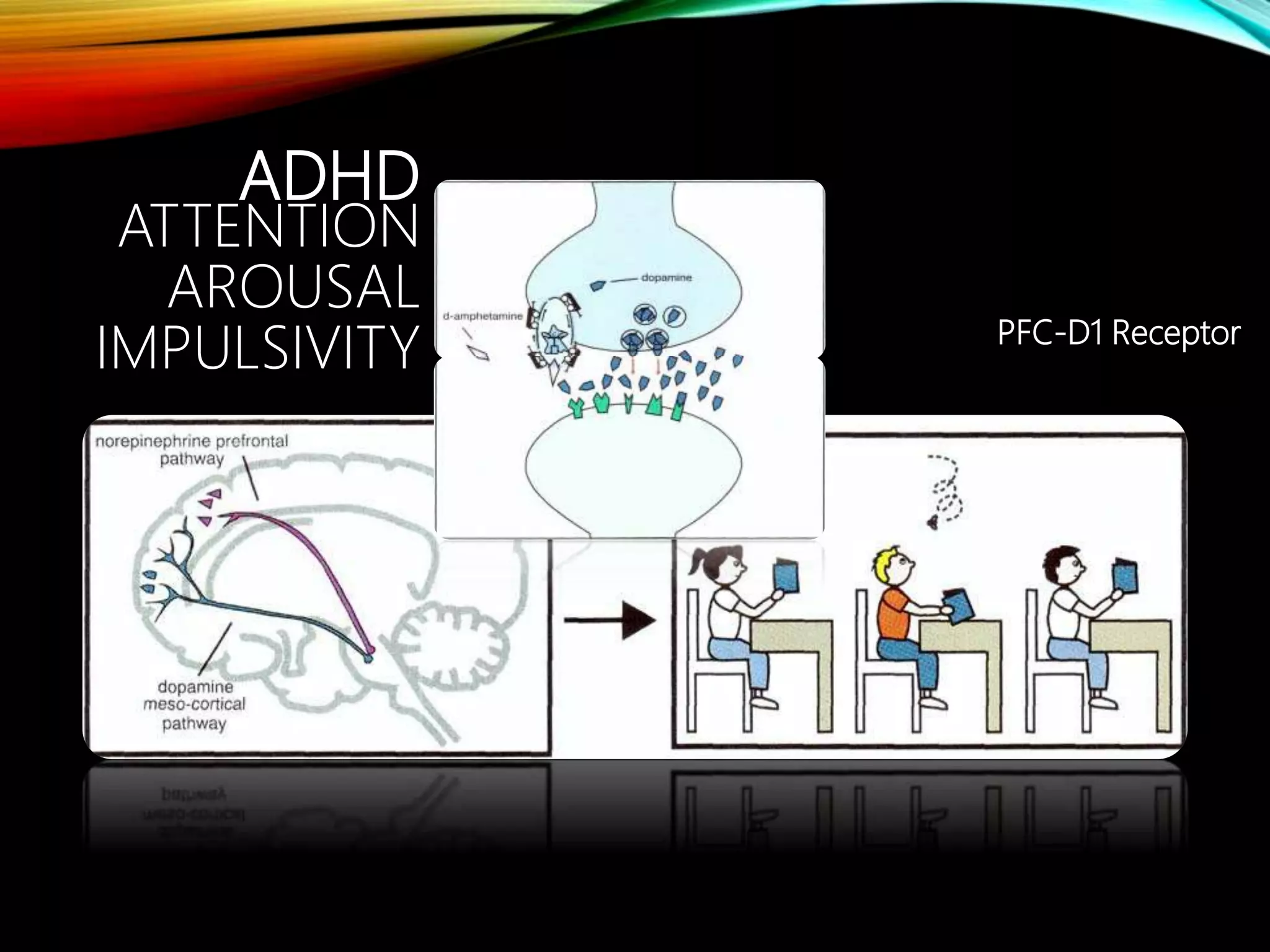 ADHD
ATTENTION
AROUSAL
IMPULSIVITY PFC-D1 Receptor
