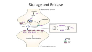 Dopamine | PPTX