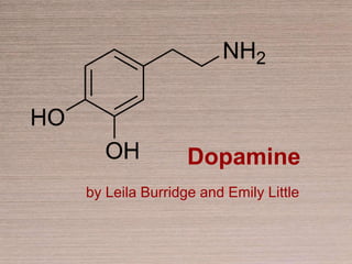 Dopamine
by Leila Burridge and Emily Little
 