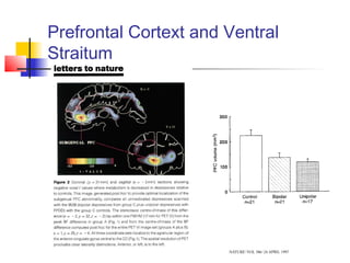 Prefrontal Cortext and Ventral
Straitum
 