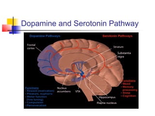 Dopamine and Serotonin Pathway
 