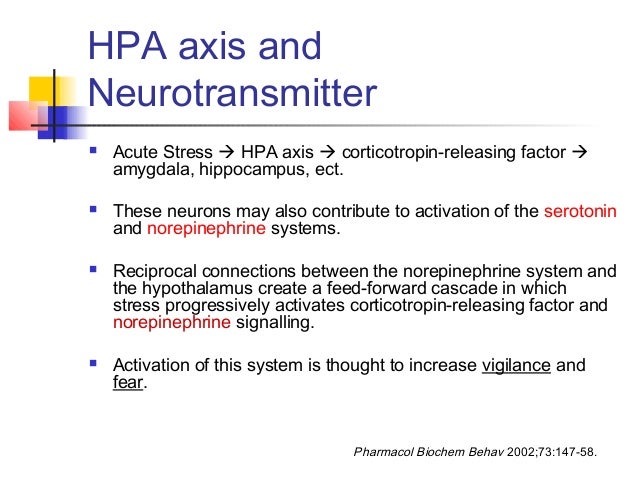 Wellbutrin Anxiety And Depression
