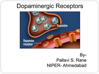 Dopaminergic Receptors
By-
Pallavi S. Rane
NIPER- Ahmedabad
 