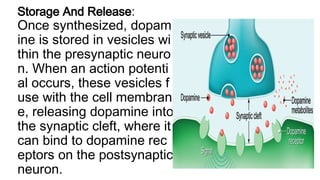 DOPAMINE& GLYCINE.ppt dopamine and glycein | PPT