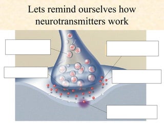 Lets remind ourselves how
 neurotransmitters work
 