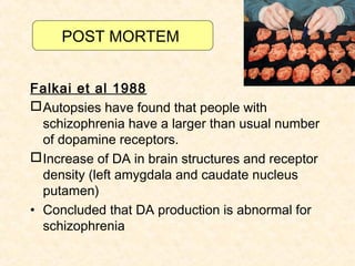 POST MORTEM


Falkai et al 1988
 Autopsies have found that people with
  schizophrenia have a larger than usual number
  of dopamine receptors.
 Increase of DA in brain structures and receptor
  density (left amygdala and caudate nucleus
  putamen)
• Concluded that DA production is abnormal for
  schizophrenia
 