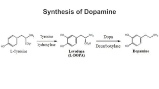 Dopamine &amp; levodopa Slide 12