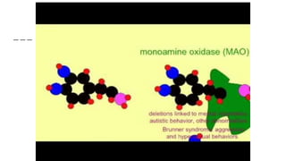 Dopamine &amp; levodopa Slide 14