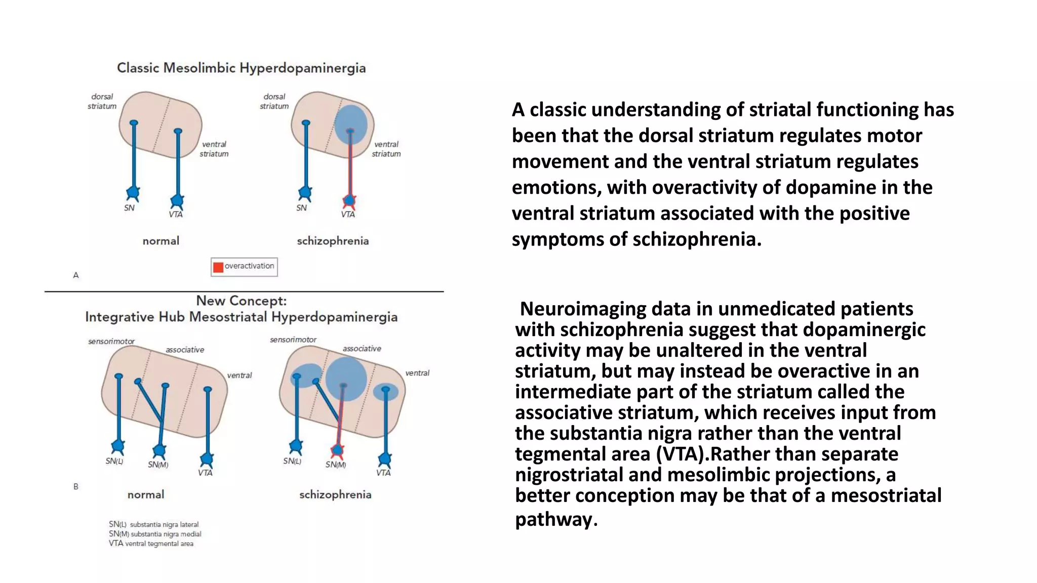 A classic understanding of striatal functioning has
been that the dorsal striatum regulates motor
movement and the ventral striatum regulates
emotions, with overactivity of dopamine in the
ventral striatum associated with the positive
symptoms of schizophrenia.
Neuroimaging data in unmedicated patients
with schizophrenia suggest that dopaminergic
activity may be unaltered in the ventral
striatum, but may instead be overactive in an
intermediate part of the striatum called the
associative striatum, which receives input from
the substantia nigra rather than the ventral
tegmental area (VTA).Rather than separate
nigrostriatal and mesolimbic projections, a
better conception may be that of a mesostriatal
pathway.
 