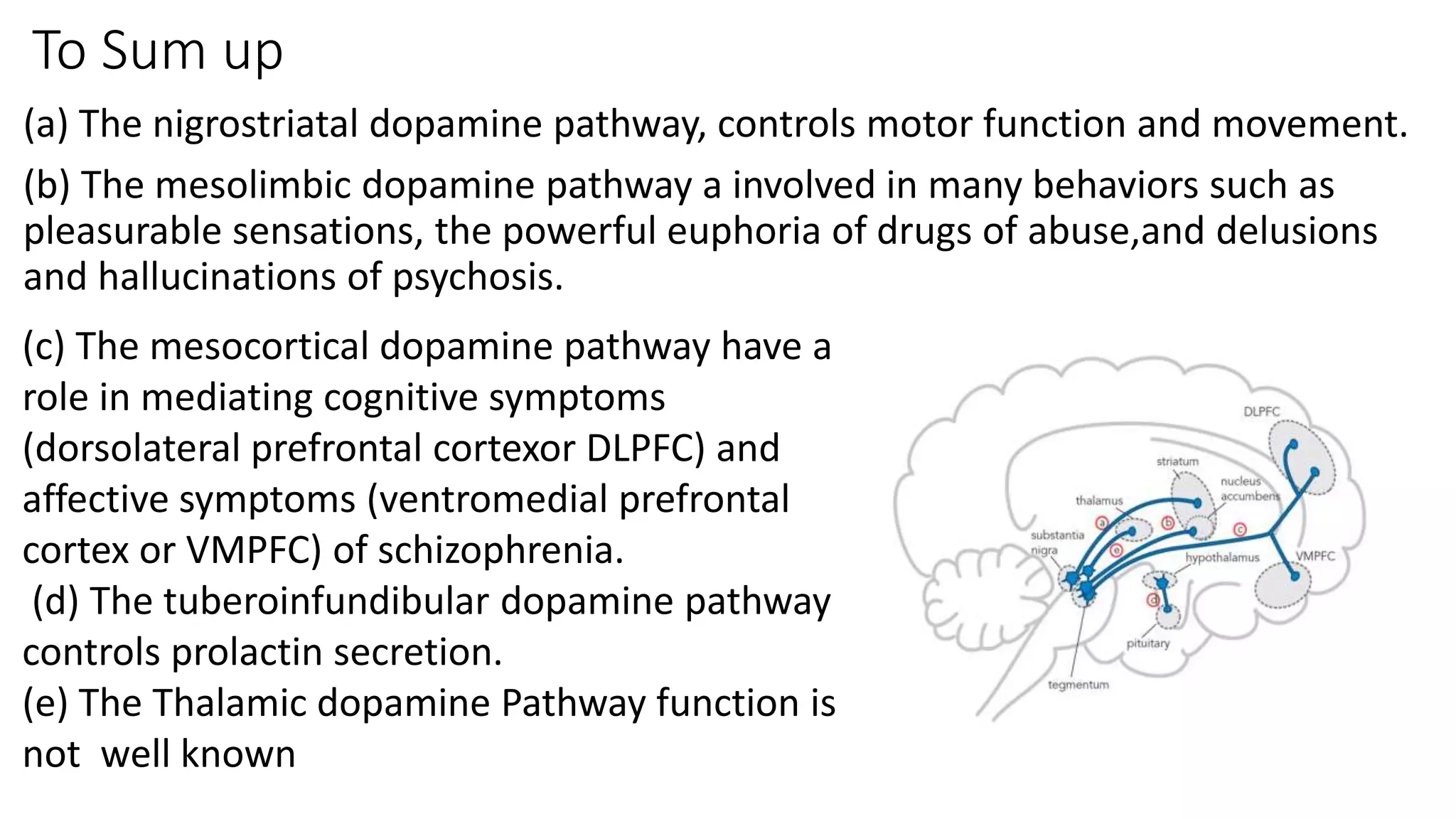 To Sum up
(a) The nigrostriatal dopamine pathway, controls motor function and movement.
(b) The mesolimbic dopamine pathway a involved in many behaviors such as
pleasurable sensations, the powerful euphoria of drugs of abuse,and delusions
and hallucinations of psychosis.
(c) The mesocortical dopamine pathway have a
role in mediating cognitive symptoms
(dorsolateral prefrontal cortexor DLPFC) and
affective symptoms (ventromedial prefrontal
cortex or VMPFC) of schizophrenia.
(d) The tuberoinfundibular dopamine pathway
controls prolactin secretion.
(e) The Thalamic dopamine Pathway function is
not well known
 