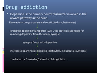 Drug addiction
 Dopamine is the primary neurotransmitter involved in the
reward pathway in the brain.
Recreational drugs (cocaine and substituted amphetamines)
inhibit the dopamine transporter (DAT), the protein responsible for
removing dopamine from the neural synapse.
synapse floods with dopamine
increases dopaminergic signaling (particularly in nucleus accumbens)
mediates the "rewarding" stimulus of drug intake.
 