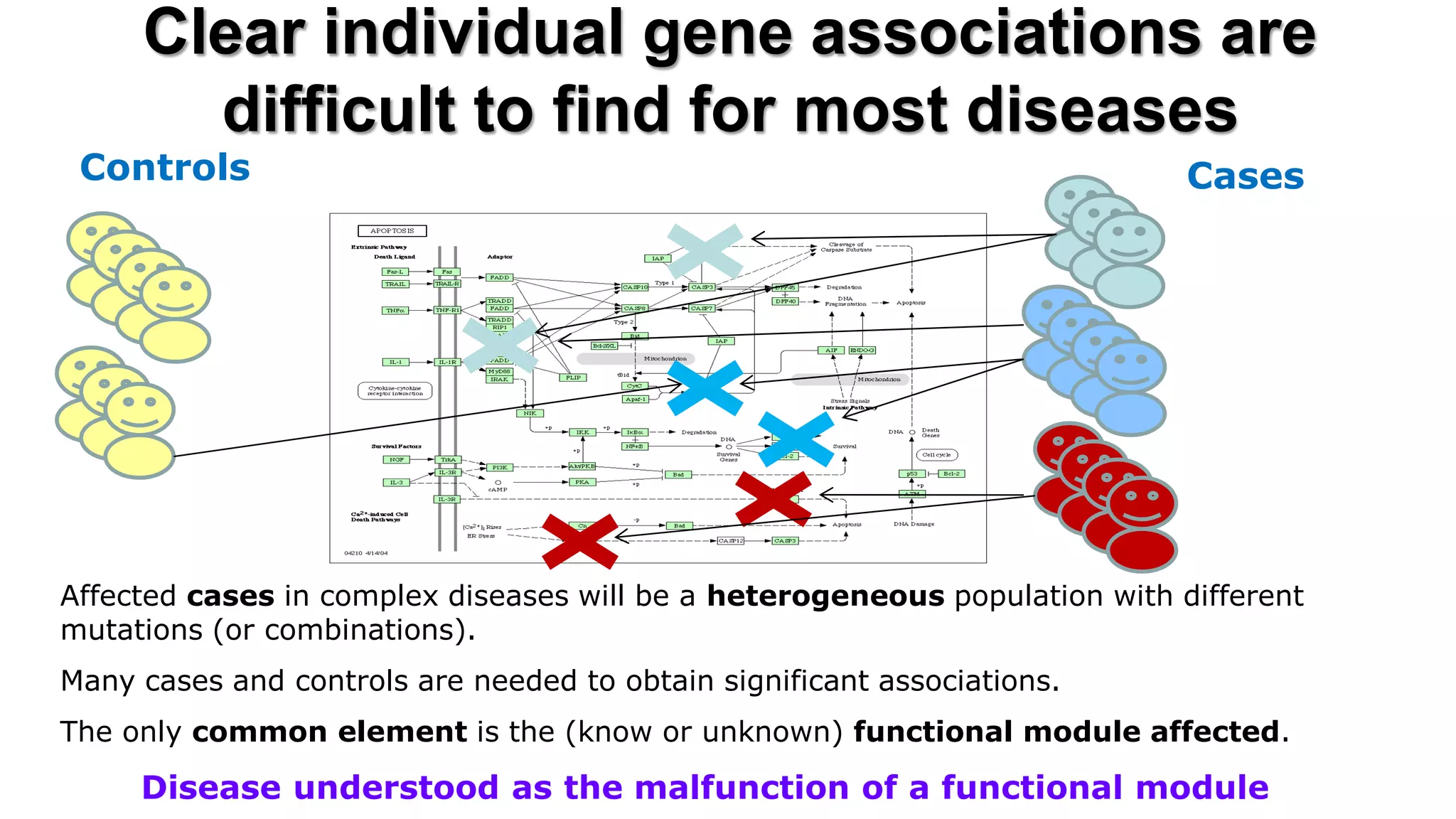 Clear individual gene associations are difficult to find for most diseases 
Affected cases in complex diseases will be a heterogeneous population with different mutations (or combinations). 
Many cases and controls are needed to obtain significant associations. 
The only common element is the (know or unknown) functional module affected. 
Disease understood as the malfunction of a functional module 
Cases 
Controls  
