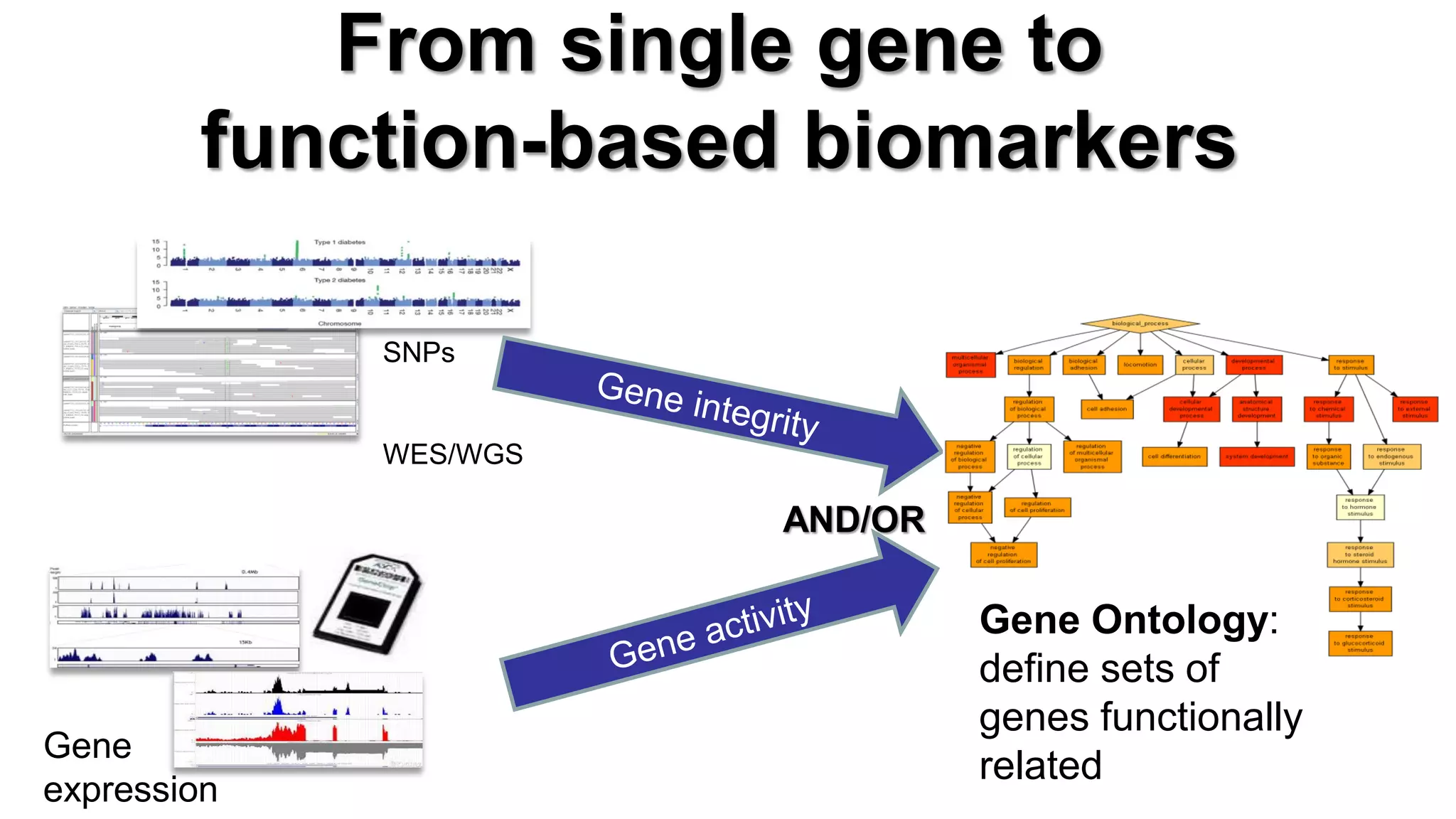 From single gene to function-based biomarkers 
SNPs WES/WGS 
Gene expression 
AND/OR 
Gene Ontology: define sets of genes functionally related  