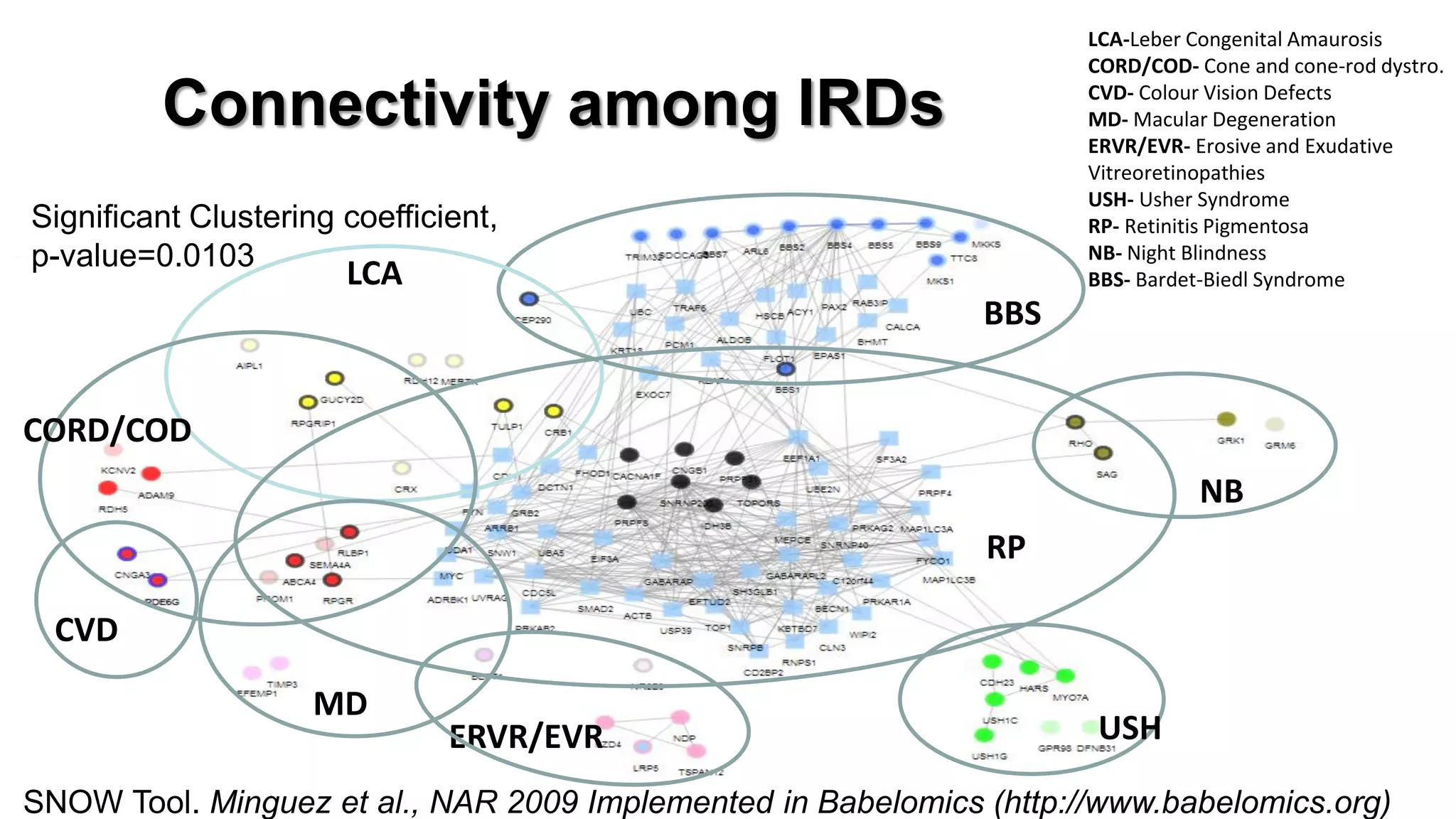 Connectivity among IRDs 
LCA-Leber Congenital Amaurosis CORD/COD- Cone and cone-rod dystro. CVD- Colour Vision Defects MD- Macular Degeneration ERVR/EVR- Erosive and Exudative Vitreoretinopathies USH- Usher Syndrome RP- Retinitis Pigmentosa NB- Night Blindness BBS- Bardet-Biedl Syndrome 
BBS 
LCA 
CORD/COD 
CVD 
MD 
ERVR/EVR 
USH 
RP 
NB 
Significant Clustering coefficient, 
p-value=0.0103 
SNOW Tool. Minguez et al., NAR 2009 Implemented in Babelomics (http://www.babelomics.org)  