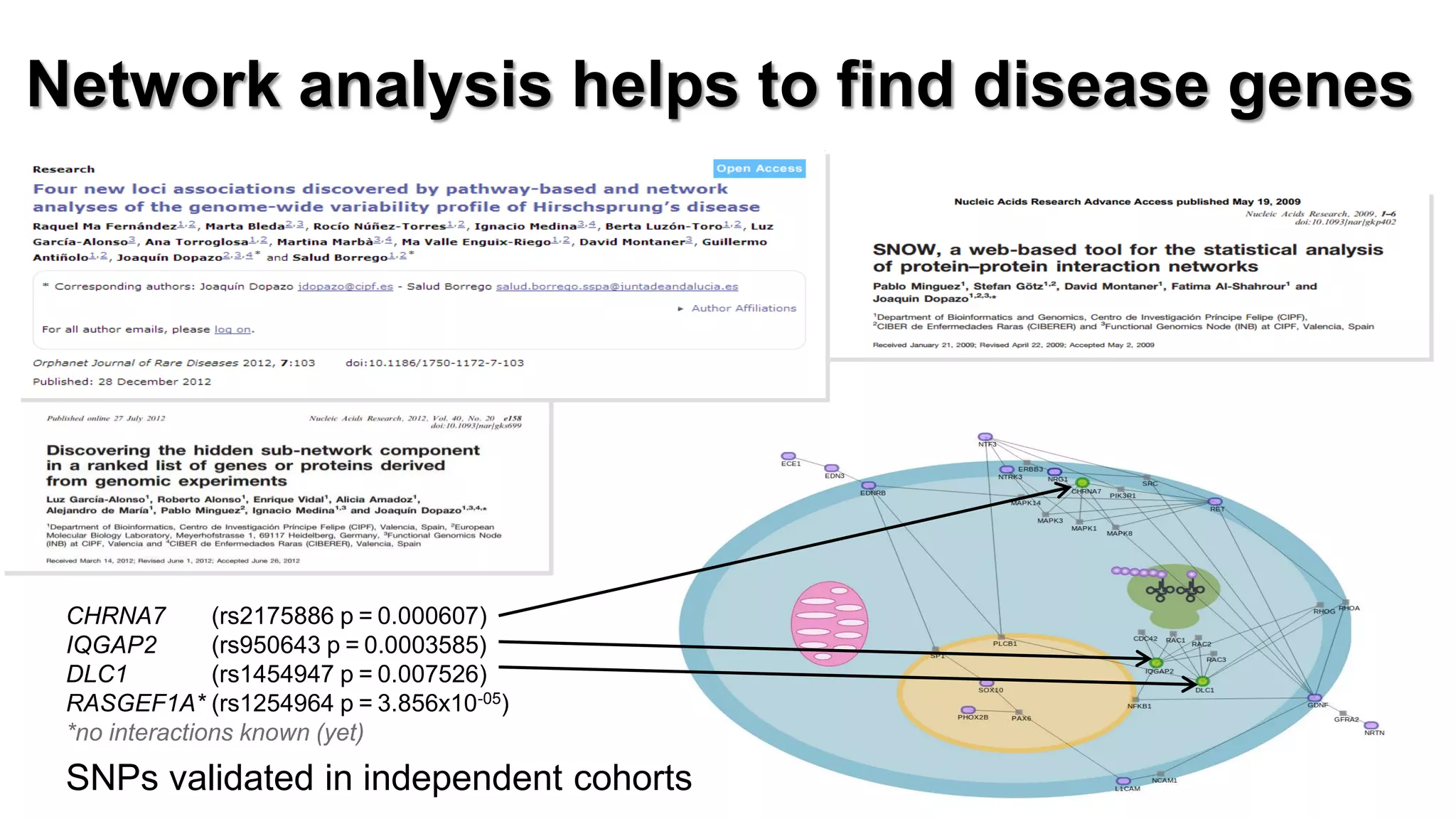 CHRNA7 (rs2175886 p = 0.000607) IQGAP2 (rs950643 p = 0.0003585) DLC1 (rs1454947 p = 0.007526) RASGEF1A* (rs1254964 p = 3.856x10-05) *no interactions known (yet) 
SNPs validated in independent cohorts 
Network analysis helps to find disease genes  