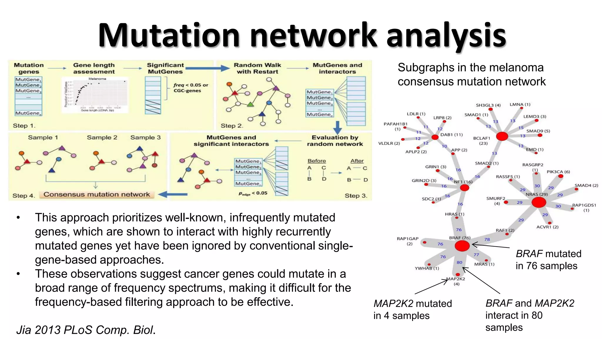 Mutation network analysis 
•This approach prioritizes well-known, infrequently mutated genes, which are shown to interact with highly recurrently mutated genes yet have been ignored by conventional single- gene-based approaches. 
•These observations suggest cancer genes could mutate in a broad range of frequency spectrums, making it difficult for the frequency-based filtering approach to be effective. Jia 2013 PLoS Comp. Biol. 
BRAF mutated in 76 samples 
MAP2K2 mutated in 4 samples 
BRAF and MAP2K2 interact in 80 samples 
Subgraphs in the melanoma consensus mutation network  