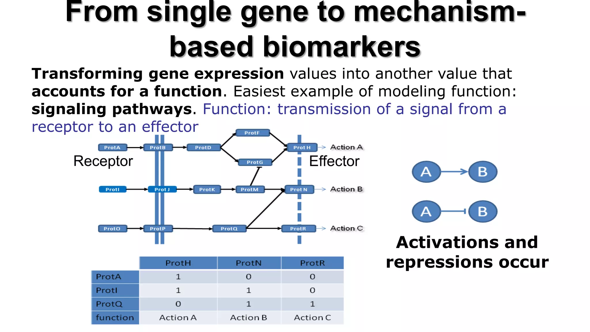 From single gene to mechanism- based biomarkers 
Transforming gene expression values into another value that accounts for a function. Easiest example of modeling function: signaling pathways. Function: transmission of a signal from a receptor to an effector 
Activations and repressions occur 
Receptor 
Effector  