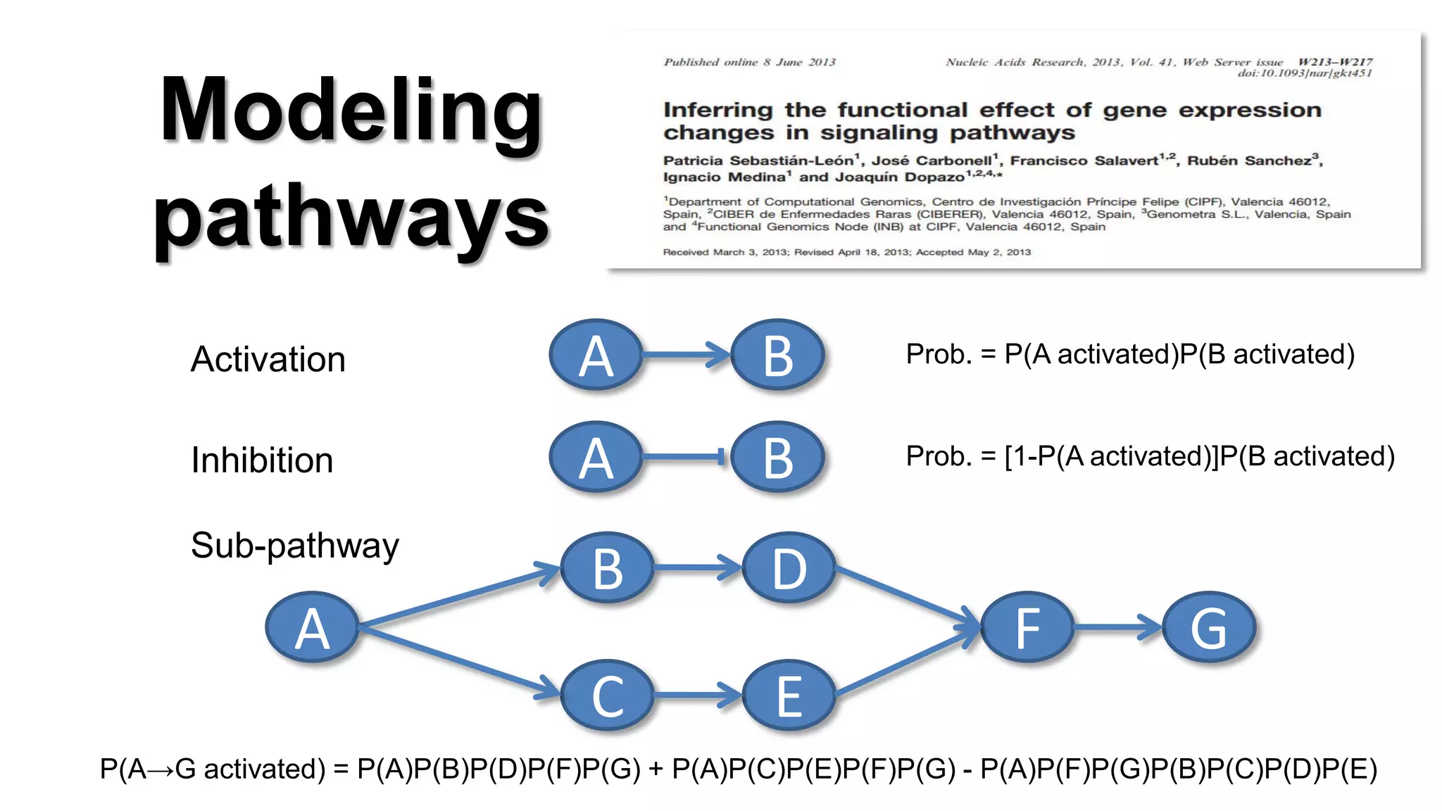 A 
B 
A 
B 
B 
D 
C 
E 
F 
A 
G 
P(A→G activated) = P(A)P(B)P(D)P(F)P(G) + P(A)P(C)P(E)P(F)P(G) - P(A)P(F)P(G)P(B)P(C)P(D)P(E) 
Prob. = [1-P(A activated)]P(B activated) 
Prob. = P(A activated)P(B activated) 
Activation 
Inhibition 
Sub-pathway 
Modeling pathways  