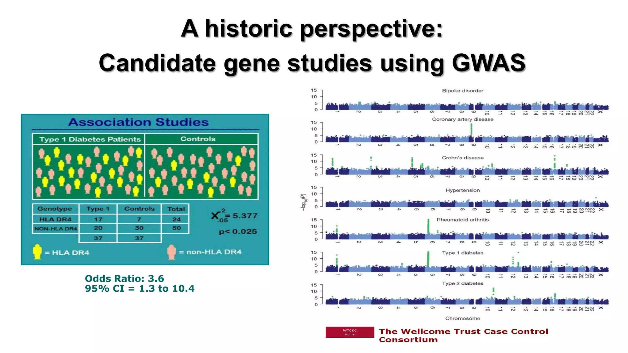 A historic perspective: 
Candidate gene studies using GWAS 
Odds Ratio: 3.6 
95% CI = 1.3 to 10.4  