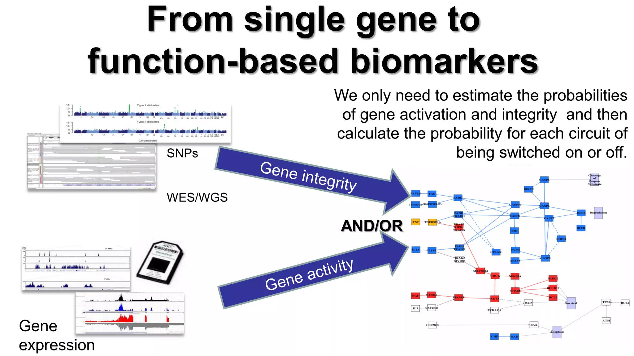 From single gene to function-based biomarkers 
SNPs 
WES/WGS 
Gene expression 
We only need to estimate the probabilities of gene activation and integrity and then calculate the probability for each circuit of being switched on or off. 
AND/OR  