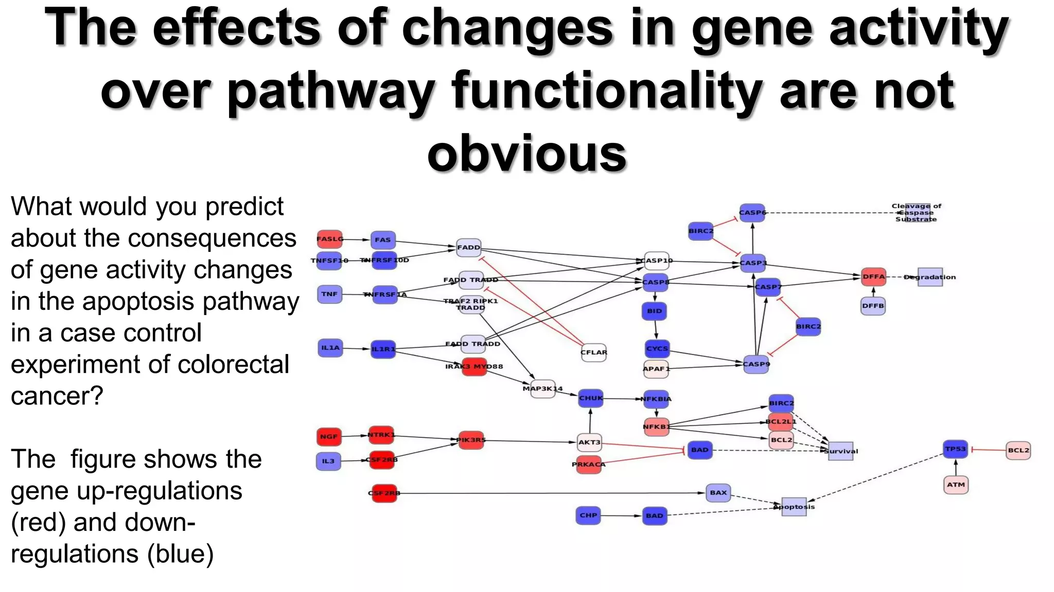 What would you predict about the consequences of gene activity changes in the apoptosis pathway in a case control experiment of colorectal cancer? The figure shows the gene up-regulations (red) and down- regulations (blue) 
The effects of changes in gene activity over pathway functionality are not obvious  